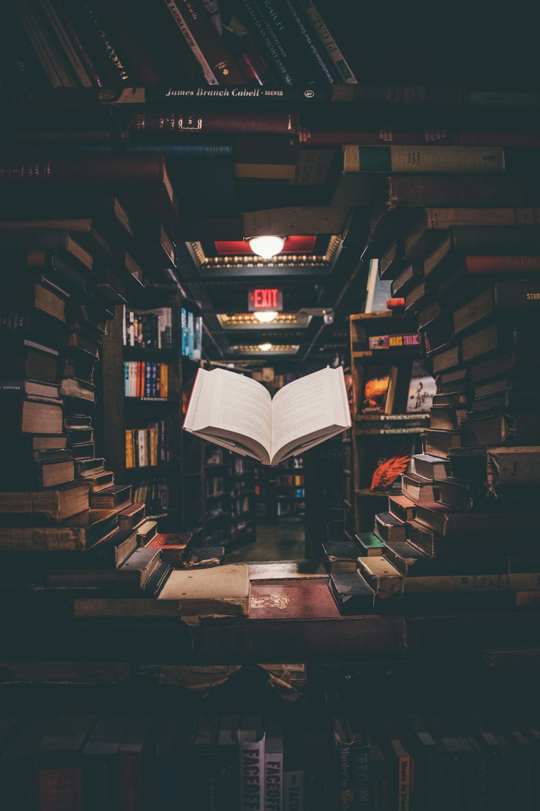 Kitap kapağı